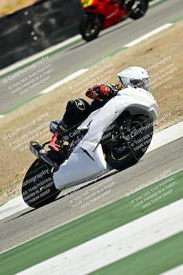 media/Oct-25-2025-2WTD (Sat) [[1e4a1f2fa2]]/B Group/Session 5 (Turn 2)/